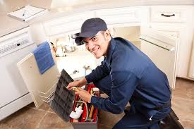 Best Drain Cleaning and Unclogging  in Excelsior, MN